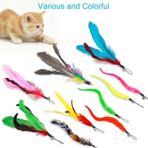 12Pcs Replacement Cat Feather Toy Set Cat Teaser Wand Toy for Kitten Cat Interactive Training Playing Stick Toy Cat Supp
