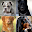 +3300 Dog Wallpapers Download on Windows