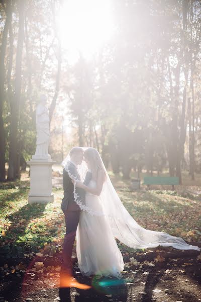 Fotografo di matrimoni Olga Davydova (olalawed). Foto del 10 ottobre 2016