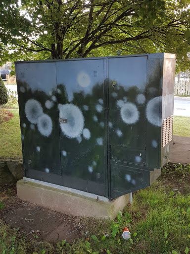 Dandelion Power Box