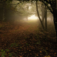 Prima passeggiata d'autunno  di 