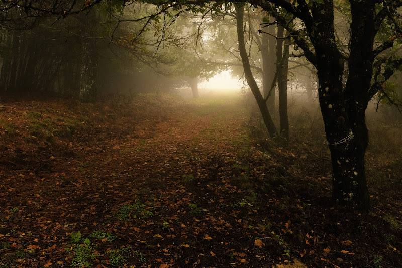 Prima passeggiata d'autunno  di AngeloEsse