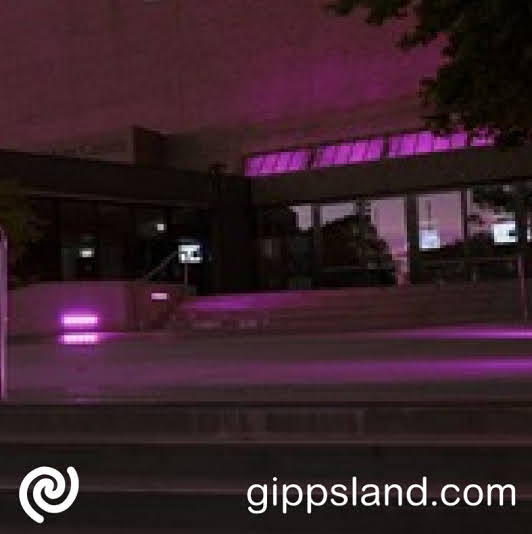 The West Gippsland Arts Centre lights up purple, community members are encouraged to honour the victims of violence memories and help bring light to this national crisis