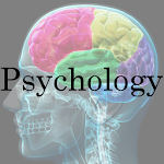 AP Psychology Terms Apk