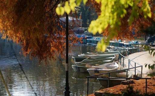 lake and boat screenshot 1