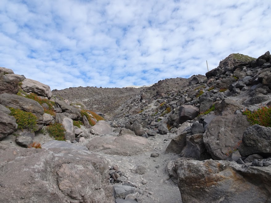 The climb begins after you reach the timberline