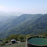 碧湖山觀光茶園