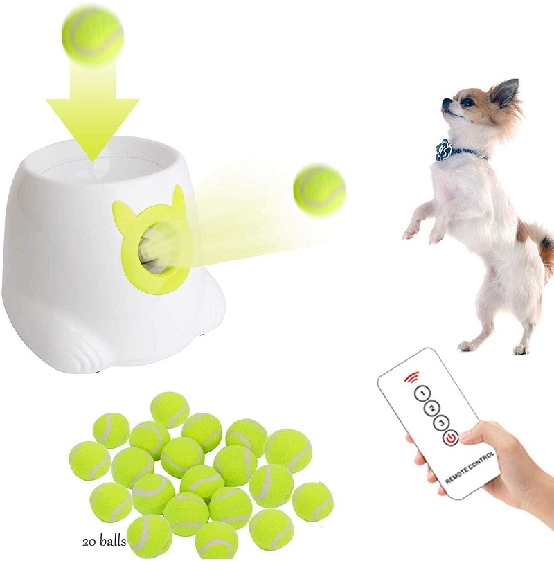 automatic throwing machine for dogs
