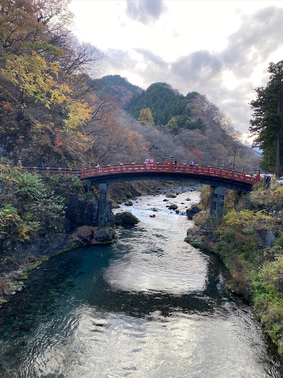 の投稿画像7枚目