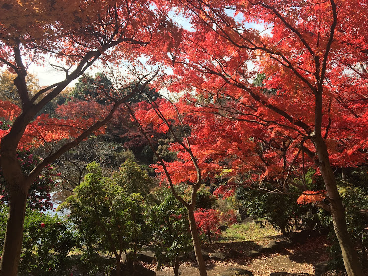 の投稿画像23枚目