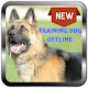 Download How to Train my Dog Training Dog Offline For PC Windows and Mac 1.0