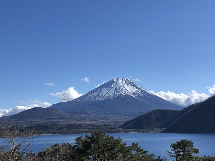 の投稿画像2枚目