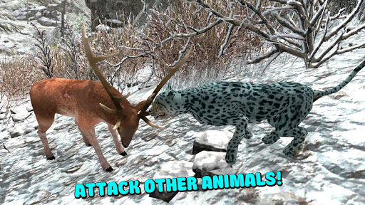 Wild Snow Leopard Simulator 3D