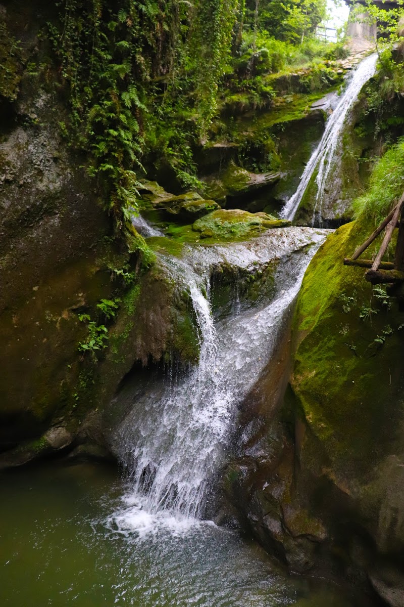 Percorsi d'acqua di Martola_ola