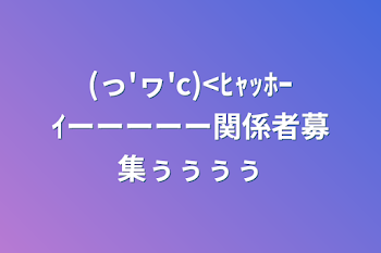 (っ'ヮ'c)<ﾋｬｯﾎｰｲーーーーー関係者募集ぅぅぅぅ