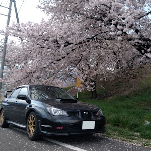 インプレッサ WRX STI GDB