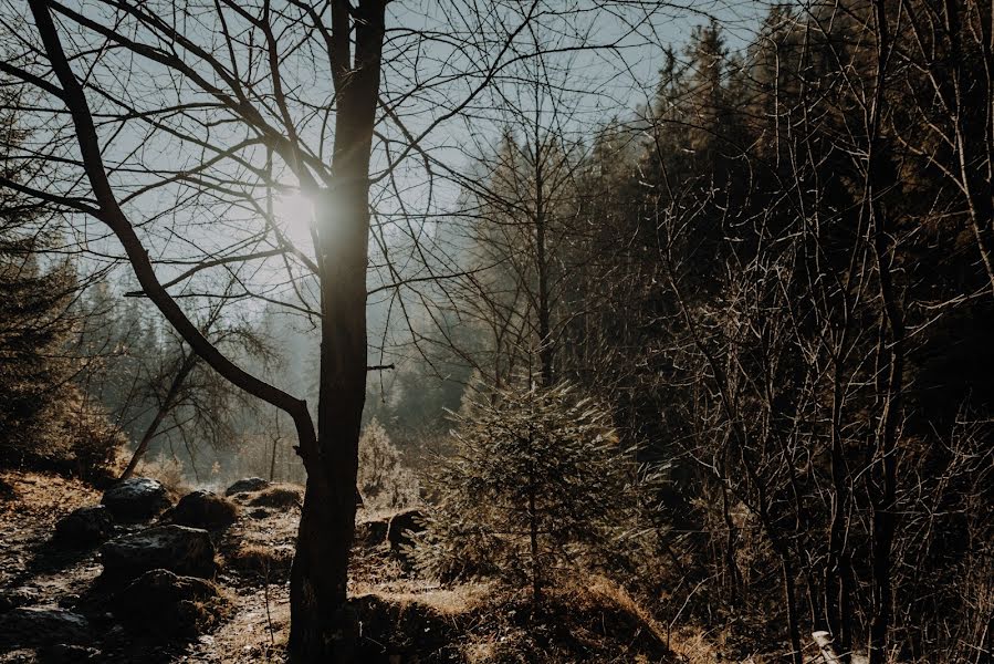 Svadobný fotograf Visign Weddings (visign). Fotografia publikovaná 14. januára 2019