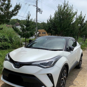 C-HR ZYX10