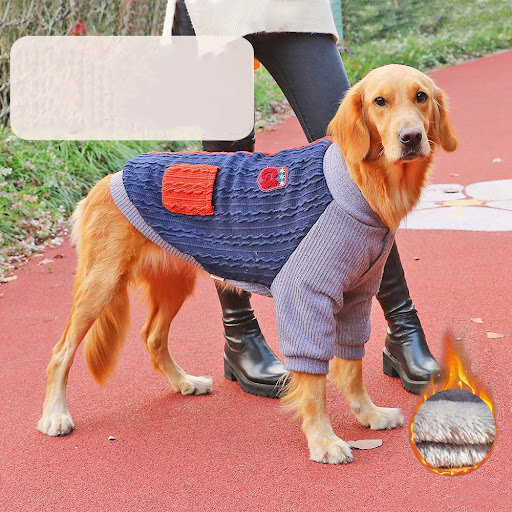 Title 5, Winter warm Golden Retriever clothes, keeping y...