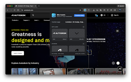 Favicon & Logo Grabber screenshot 3