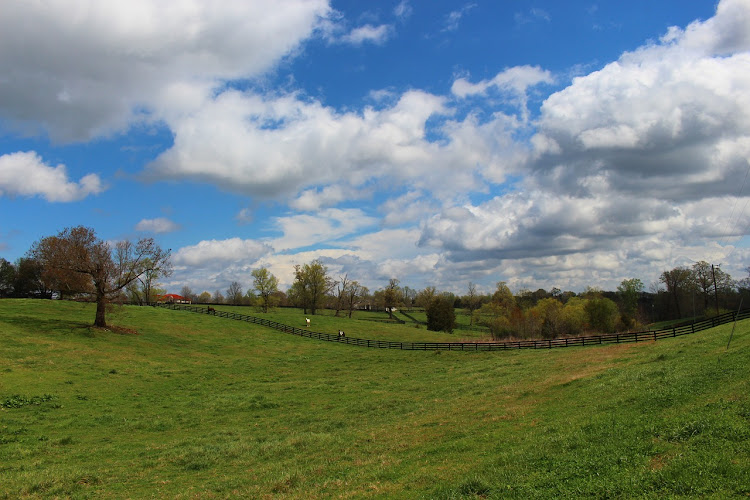 Vast stretch of idle land