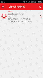 Çizmeli Kedi Vet(圖2)-速報App