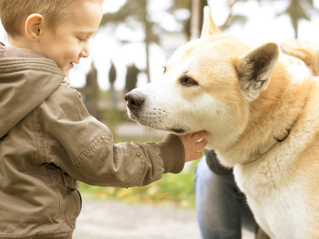 Young kid with pet dog