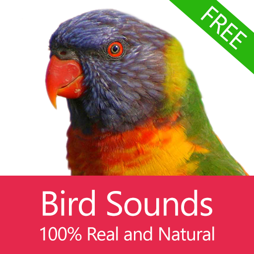 Bird Sounds