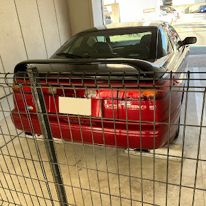 アルシオーネSVX CXD