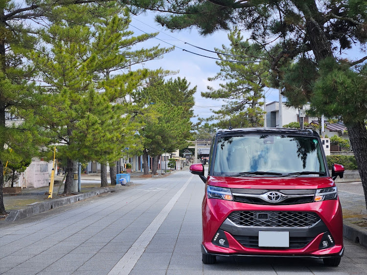 ヴェルファイアの菜の花コラボ・白鳥神社・バナナマンのせっかくグルメ・さぬきうどん・道の駅　くるくるなるとに関するカスタム事例の投稿画像17枚目