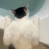 ユーザー