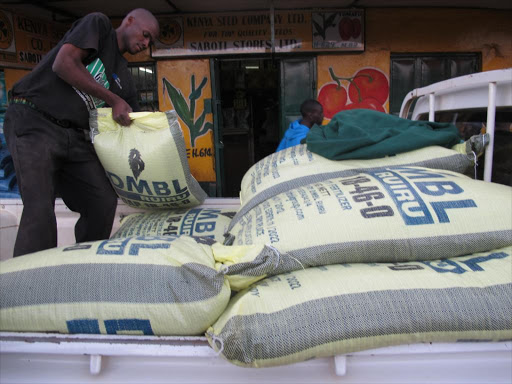 A worker loading DAP fertiliser on a pickup in Kitale after purchasing the commodity at a private stockist on Feb 16, 2014 /NICHOLAS WAMALWA