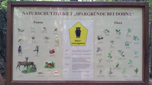 Naturschutztafel Eingang Spargrund