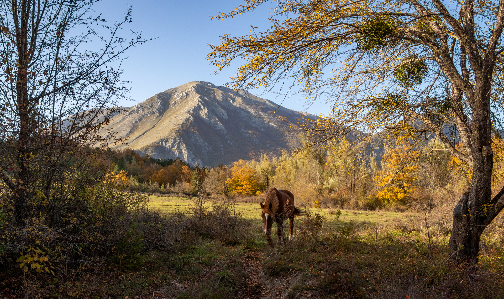 A Horse with no name - America di fernando rugge