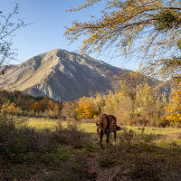 A Horse with no name - America di fernando rugge