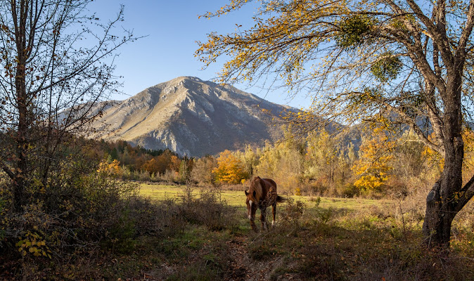 A Horse with no name - America di fernando rugge