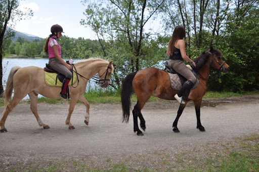 rosiere_chevaux