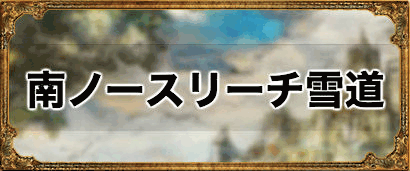 南ノースリーチ雪道