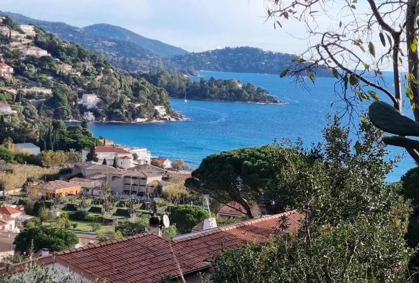  Vente Terrain à bâtir - à Le Lavandou (83980) 