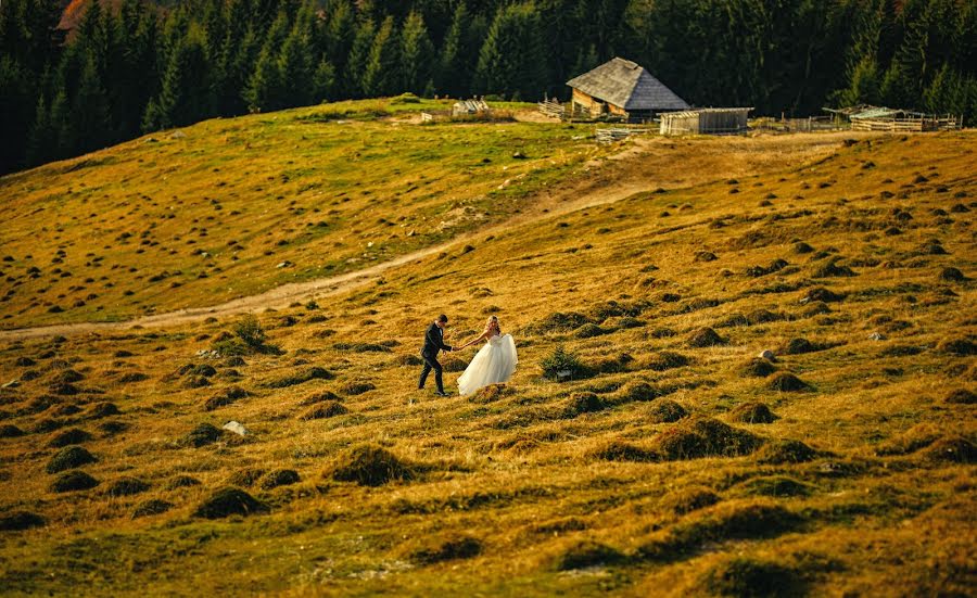 Düğün fotoğrafçısı Alex Vîlceanu (alexandruvilcea). 16 Kasım 2018 fotoları