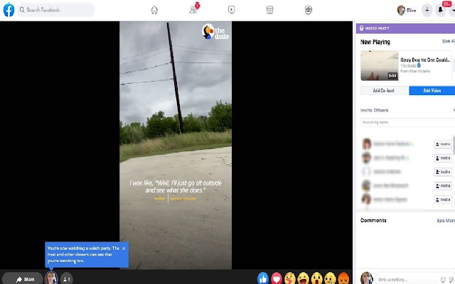 Facebook - Allow Background Video