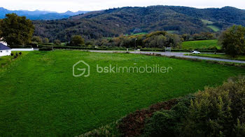 terrain à Esquiule (64)