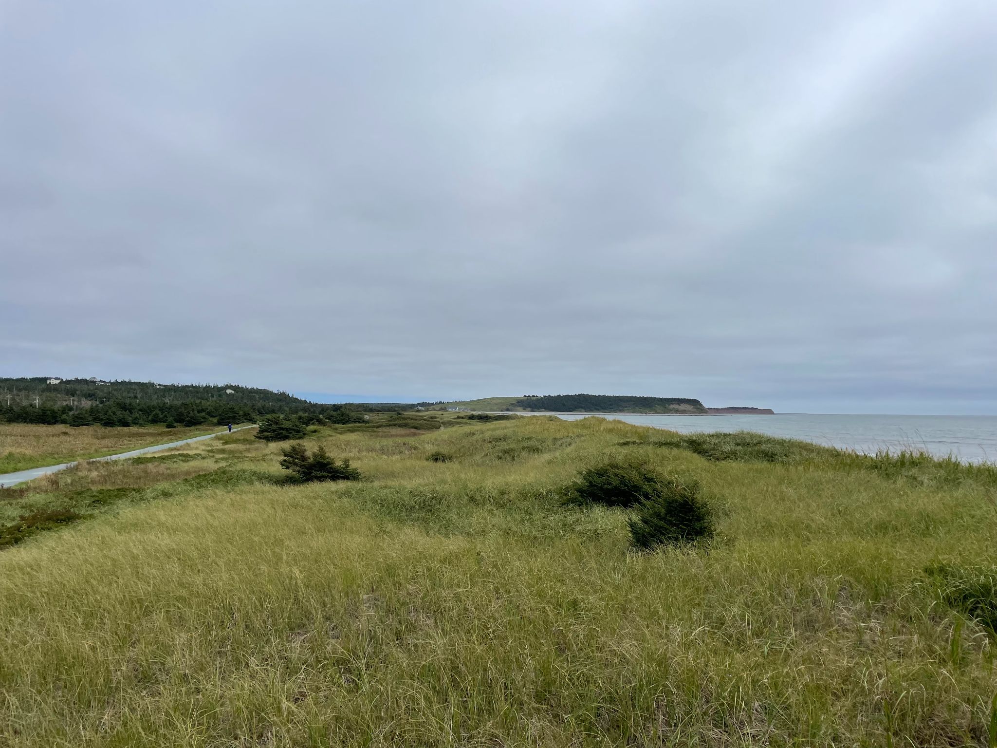 lawrencetown beach