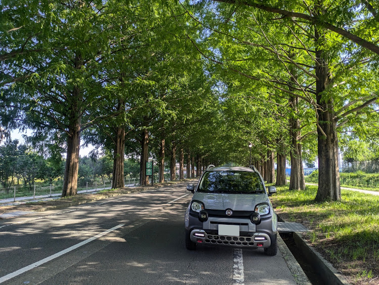 パンダ クロスの納車記念日・新メンバー紹介・イタリア車に関するカスタム事例の投稿画像5枚目