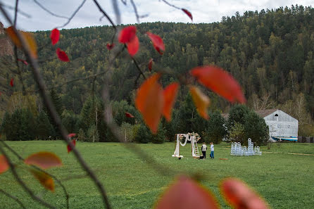 Fotografo di matrimoni Aleksey Pechenkin (alexpechenkin). Foto del 10 dicembre 2020