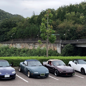 ロードスター NB8C