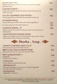 Chokhi Dhani menu 8