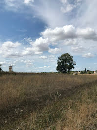 terrain à Labastide-Gabausse (81)