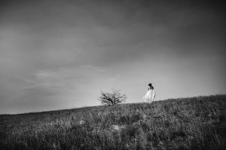 Photographe de mariage Oleg Roy (olegroy). Photo du 4 octobre 2015