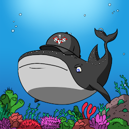 Whale Shark #49